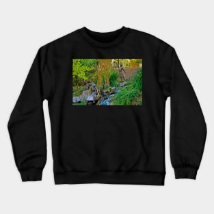 Santa Fe Sculpture Garden Study 3 Crewneck Sweatshirt